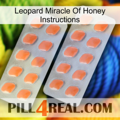 Leopard Miracle Of Honey Instructions 27